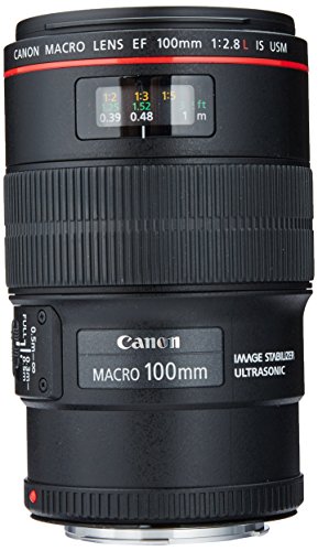 Best Canon Lenses Canon EF 100mm